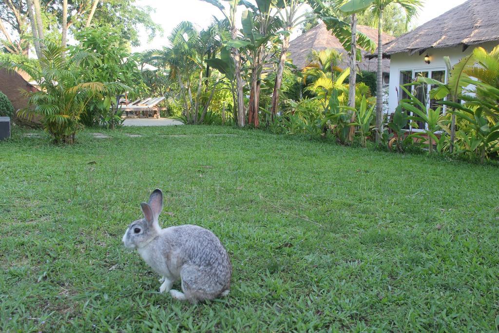 Blue Sea Boutique Hotel Sihanoukville Luaran gambar